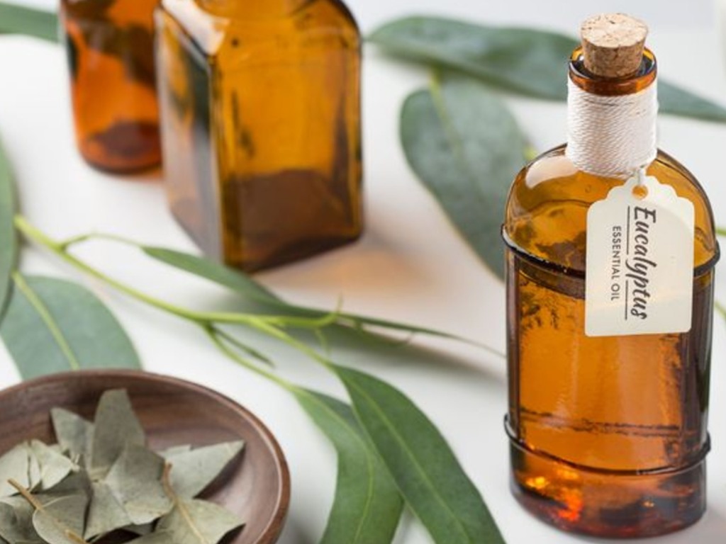 Eucalyptus Oil - A Natural and Effective Treatment